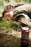 gal/woodstock 07/_thb_small-86640029.jpg